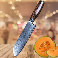 YLGR6006-Professional  Damascus  kitchen Knife