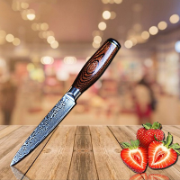 YLGR6001  5''Damascus Utility Knife