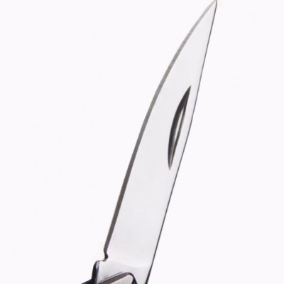Mini key knife outdoor camping mountaineering self-defense pocket knife express knife图2