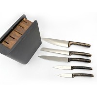 Set of 6 pieces ABS handle single steel head knife