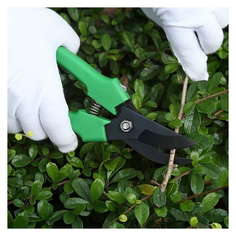 Seacreating Garden Pruner Pruning Shear with Stainless Steel Coated Curved Precision Blades Tree Pru图6