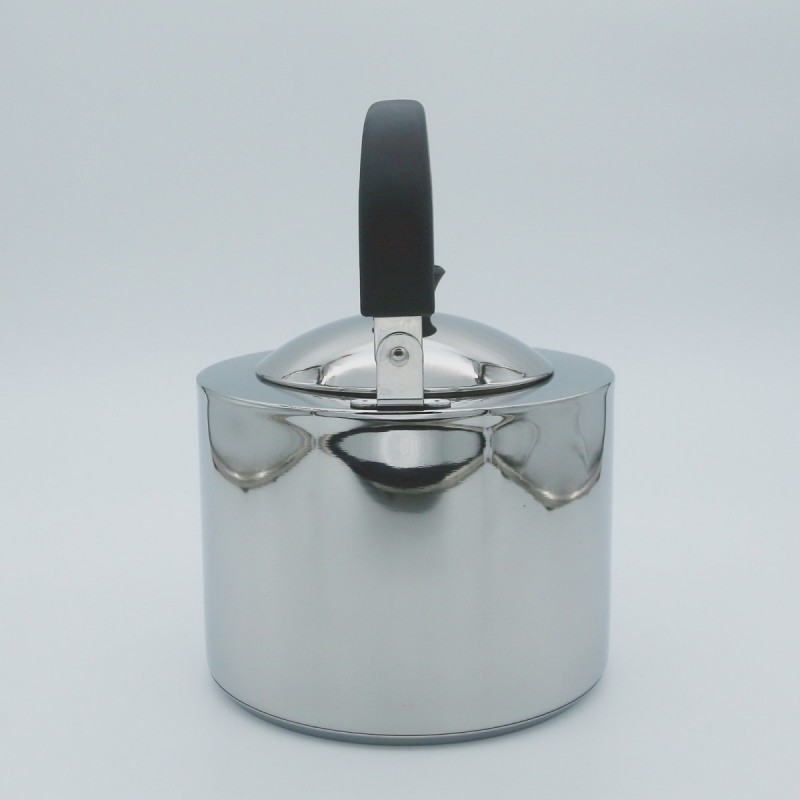 Stainless steel kettle图2