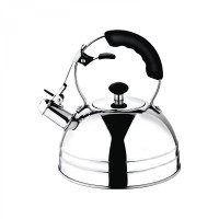 stainless steel whistling kettle