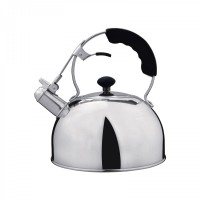 stainless steel whistling kettle