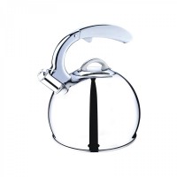 stainless steel whistling kettle