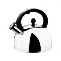 stainless steel whistling kettle