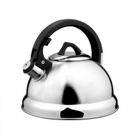 stainless steel whistling kettle