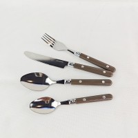 304 Stainless Steel Spoon and Fork Adult Spoon and Fork Beautiful Color Tableware Main Dining Spoon 